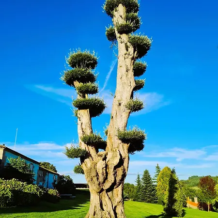 Pazo De 4* Eidián