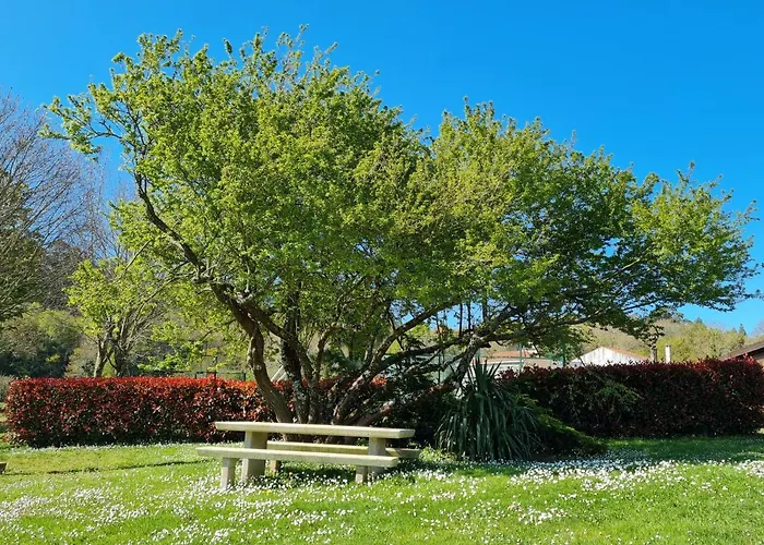 Гостевой дом Pazo De 4*