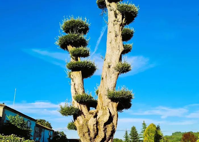 Pazo De 4* Эидиан